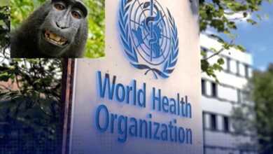 منظمة الصحة العالمية تحقق