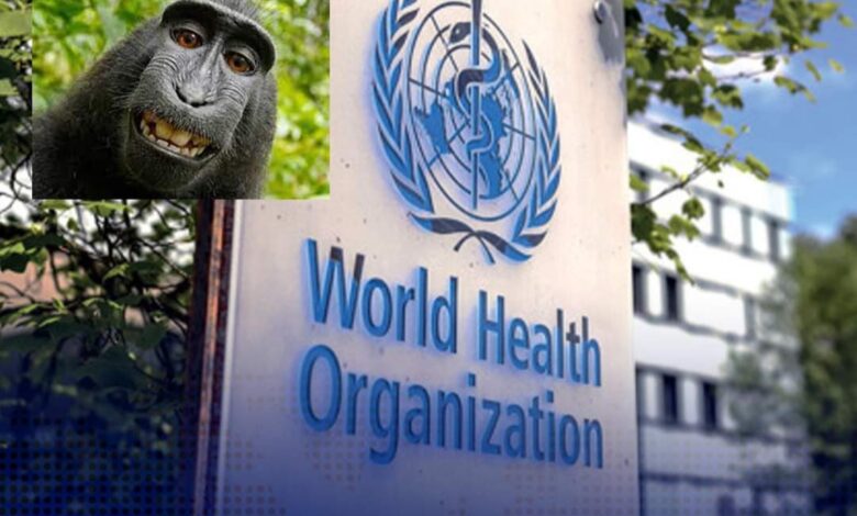 منظمة الصحة العالمية تحقق