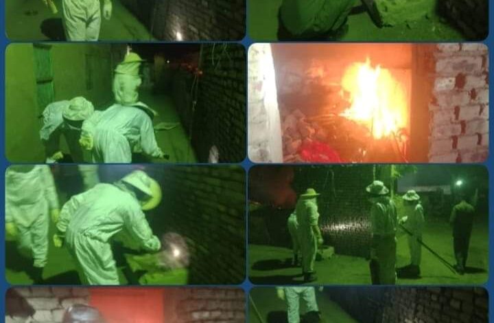 "نحل الفقراء القاتل" في خبر كان بعد مناشدات إعلامية