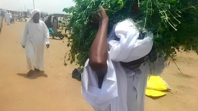 صورة وزير في عهد البشير تثير تفاعلات واسعة على «التايم لاين»