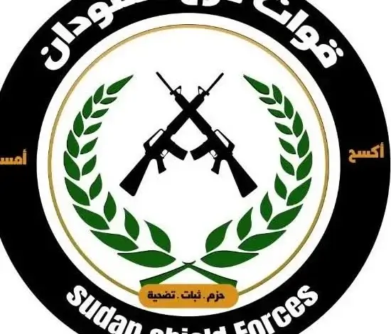 مقتل العقيد تايقر قائد عمليات درع السودان بشمال دارفور