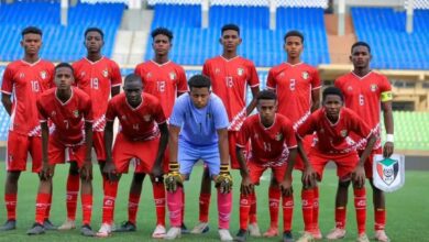 صغار صقور الجديان