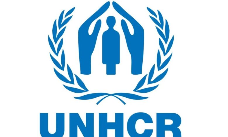 الأمم المتحدة