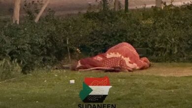 قصة شاب سوداني بالرياض